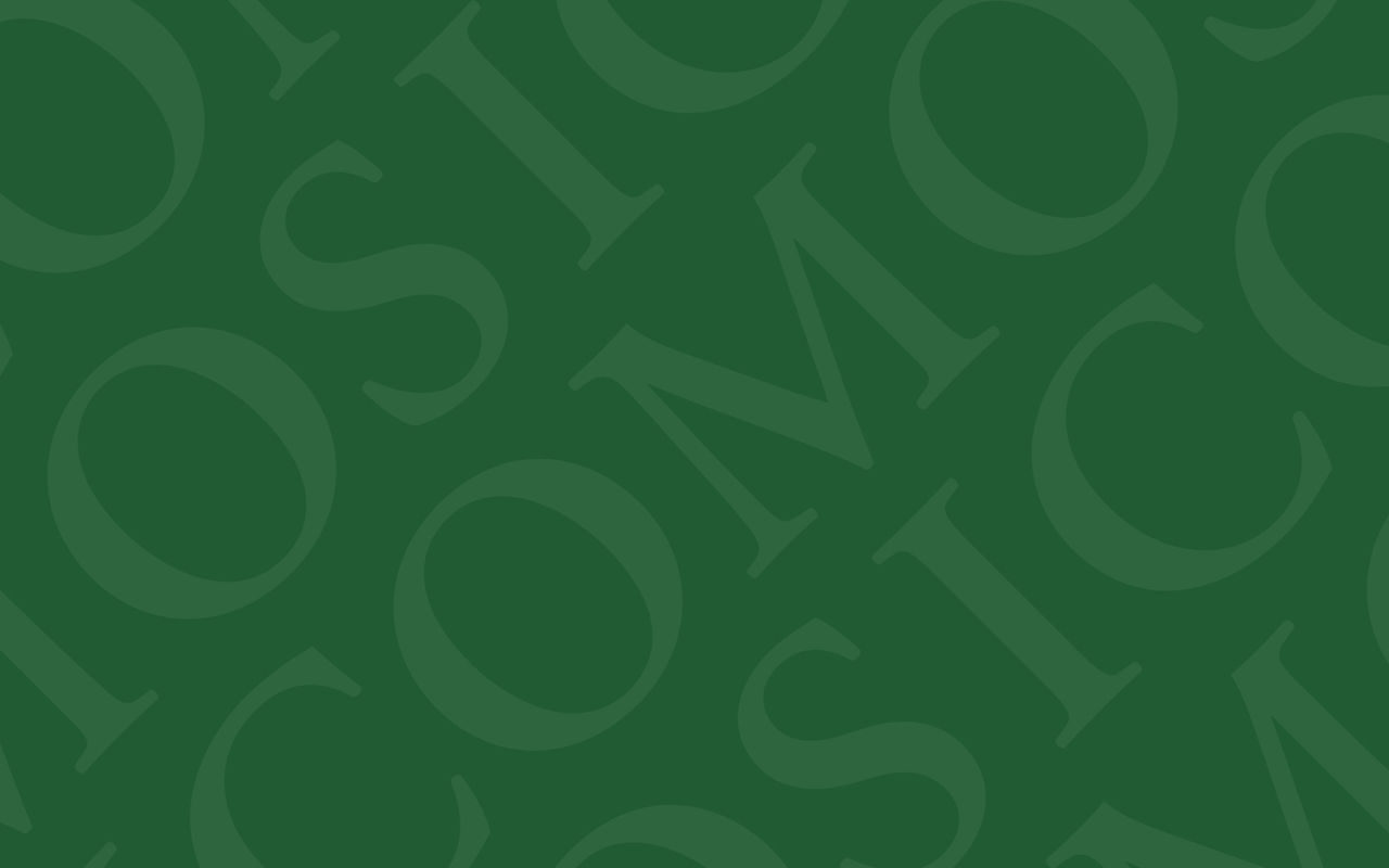 Homepage screenshot of icomos.org