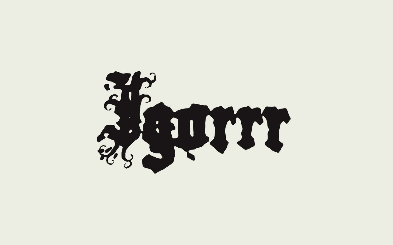 Homepage screenshot of igorrr.com