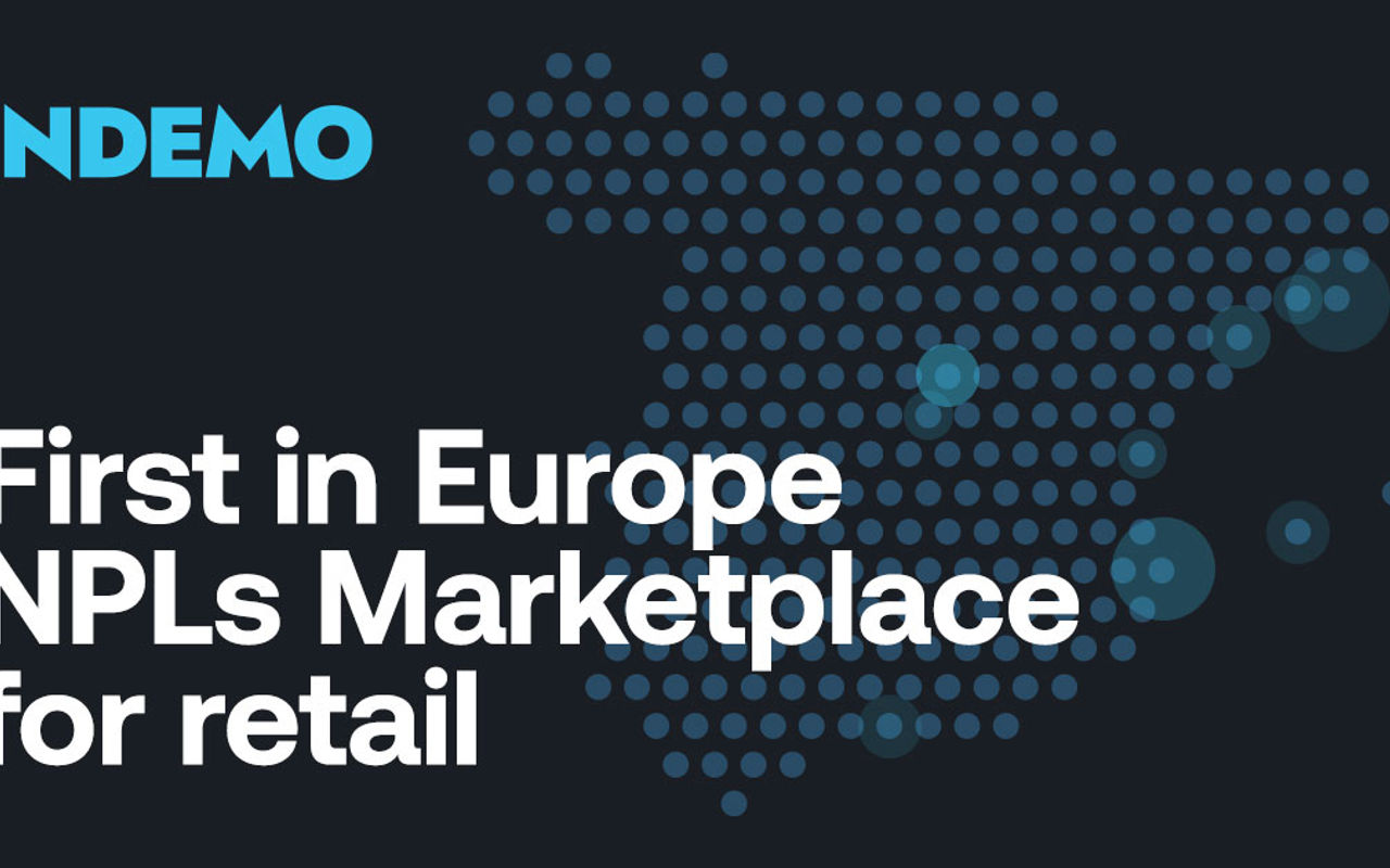 Homepage screenshot of indemo.eu