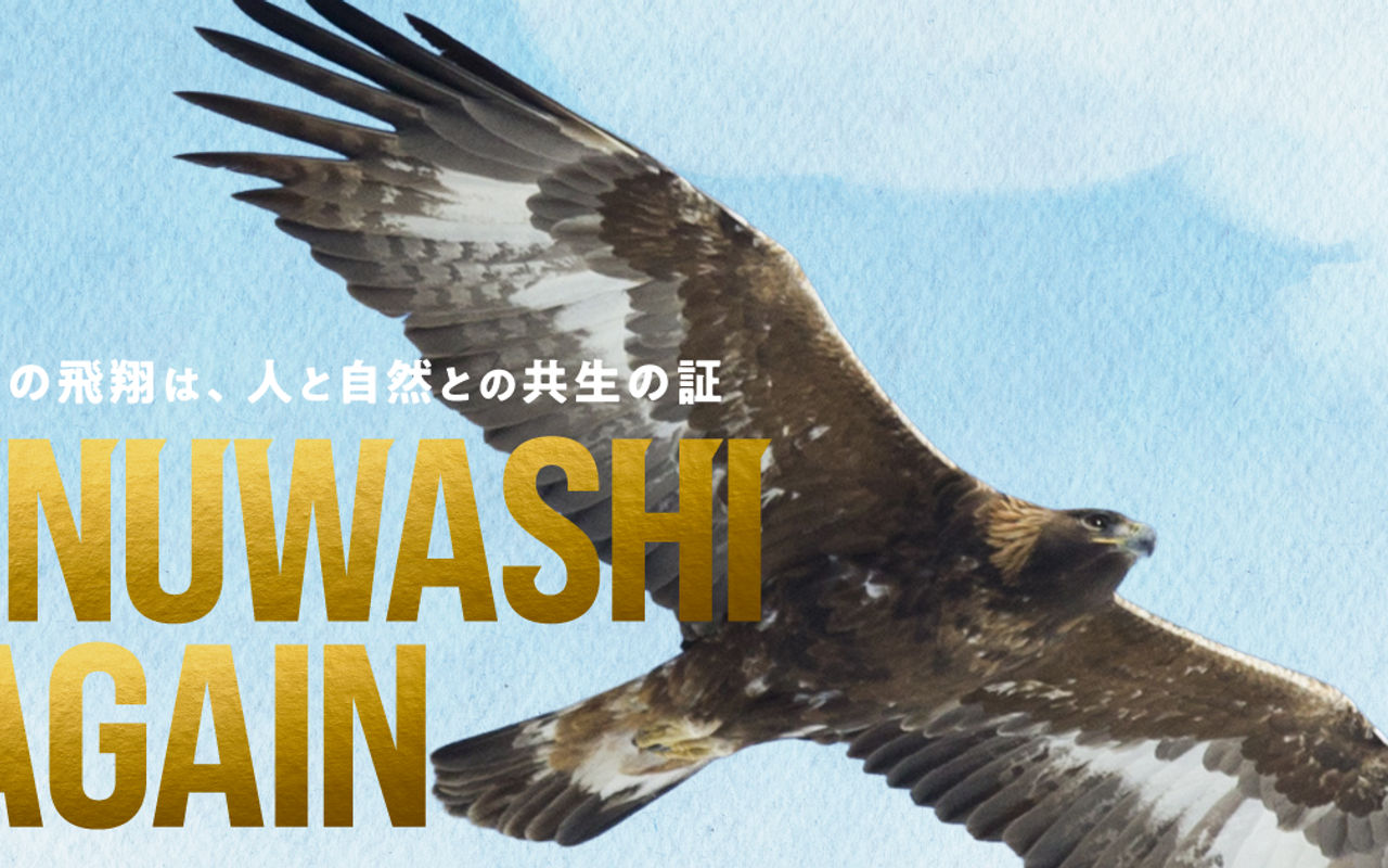 Homepage screenshot of inuwashi-again.com