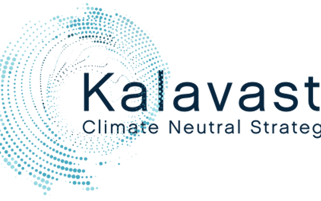 Homepage screenshot of kalavasta.com