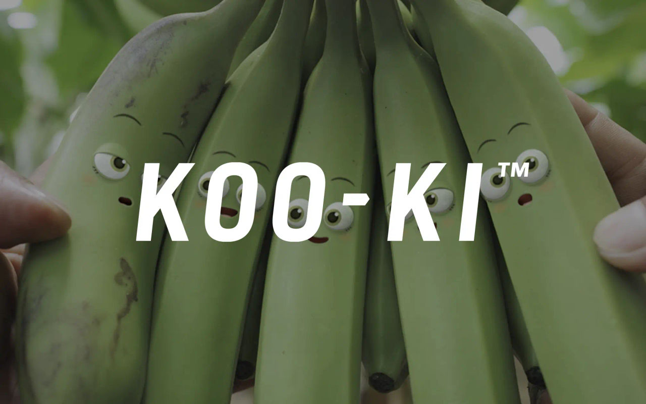 Homepage screenshot of koo-ki.co.jp