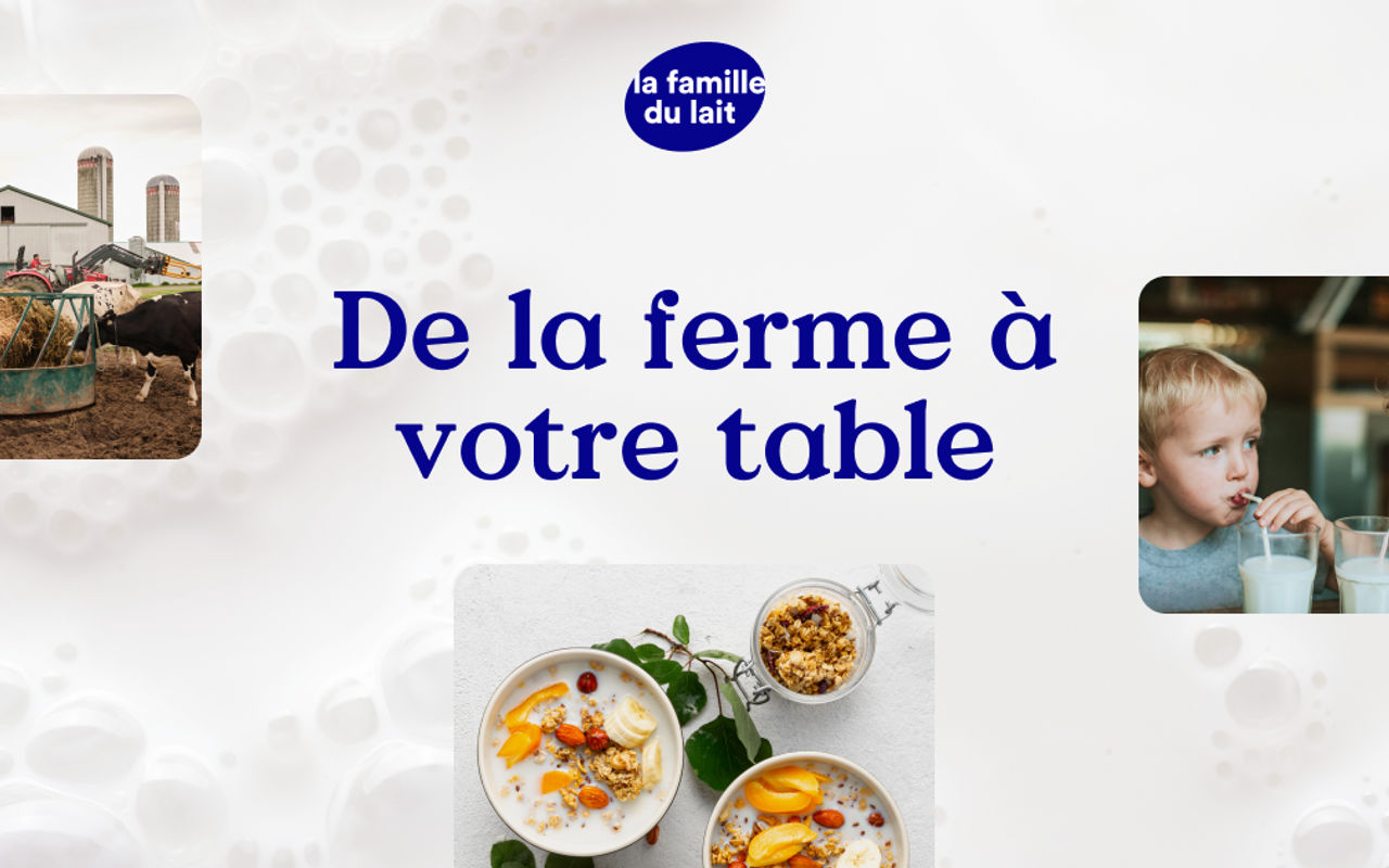 Homepage screenshot of lafamilledulait.com