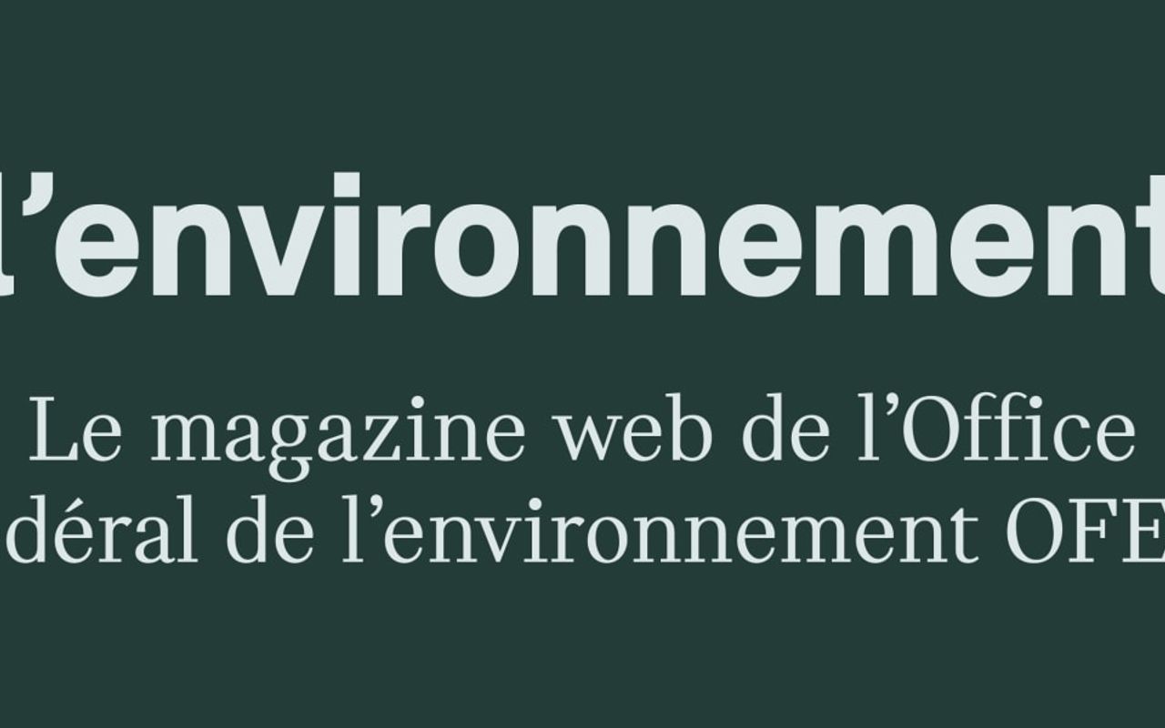 Homepage screenshot of lenvironnement.ch
