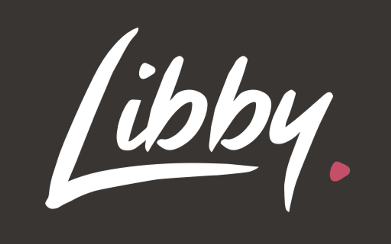 Homepage screenshot of libbylarsen.com