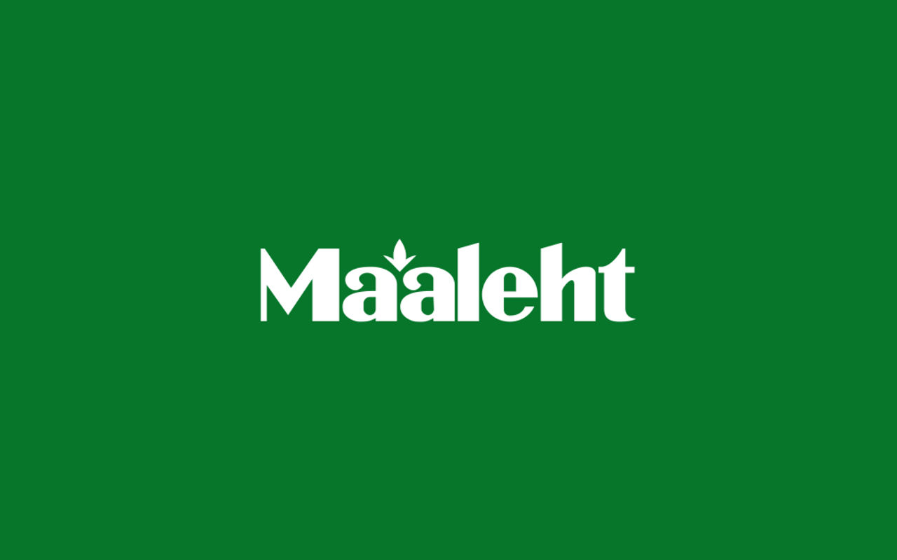 Homepage screenshot of maaleht.delfi.ee