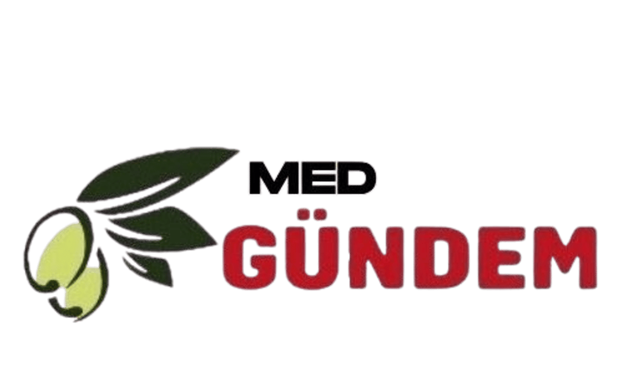 Homepage screenshot of medgundem.com
