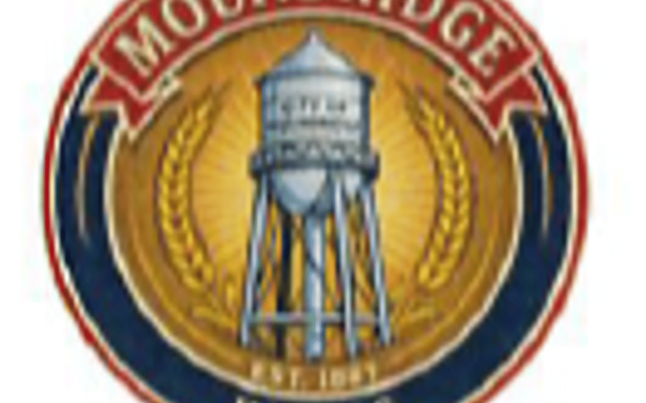 Homepage screenshot of moundridge.com