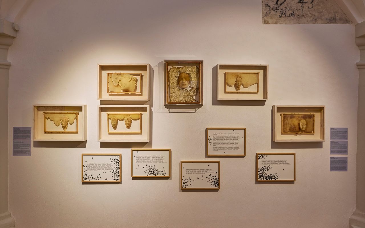 Homepage screenshot of museumbrotundkunst.de