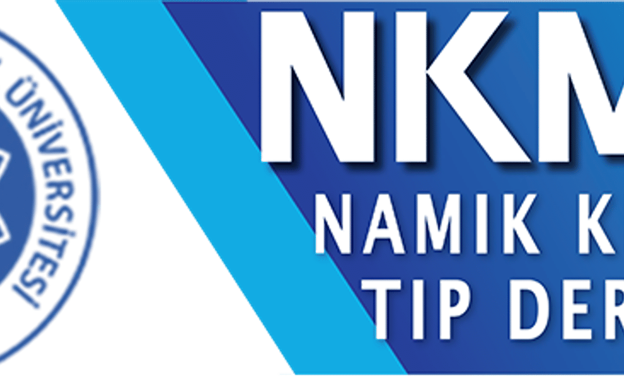 Homepage screenshot of namikkemalmedj.com