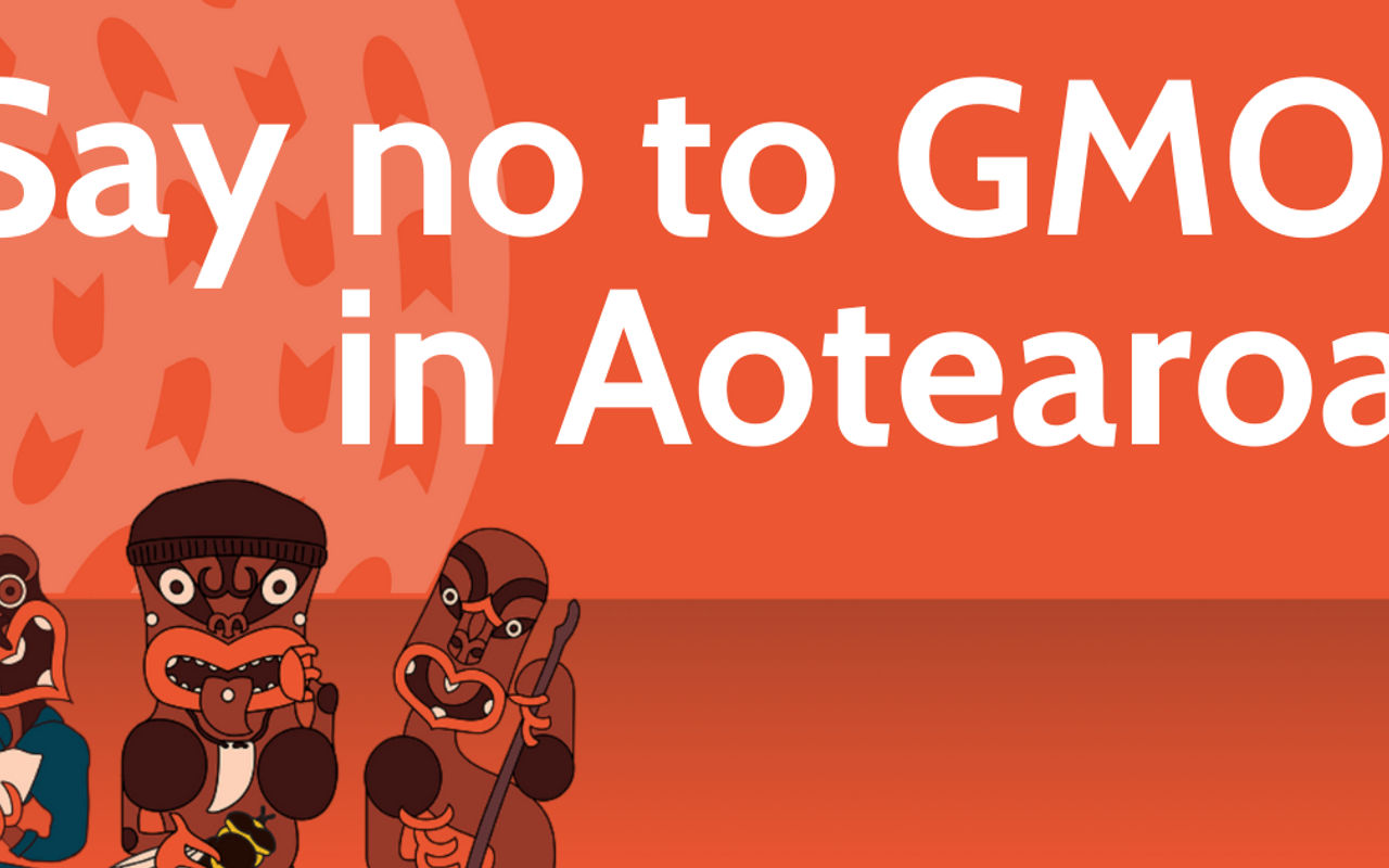 Homepage screenshot of no-to-gmos.papawhakaritorito.com