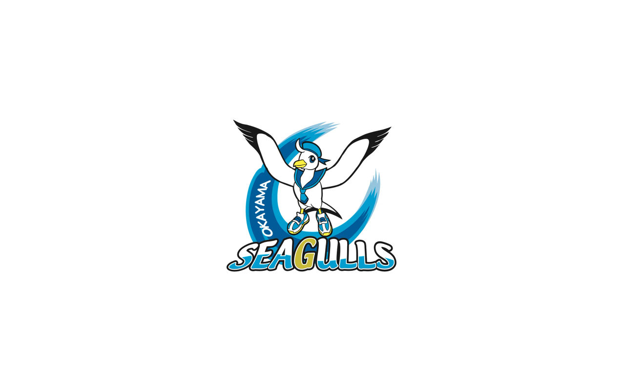 Homepage screenshot of okayama.v-seagulls.co.jp