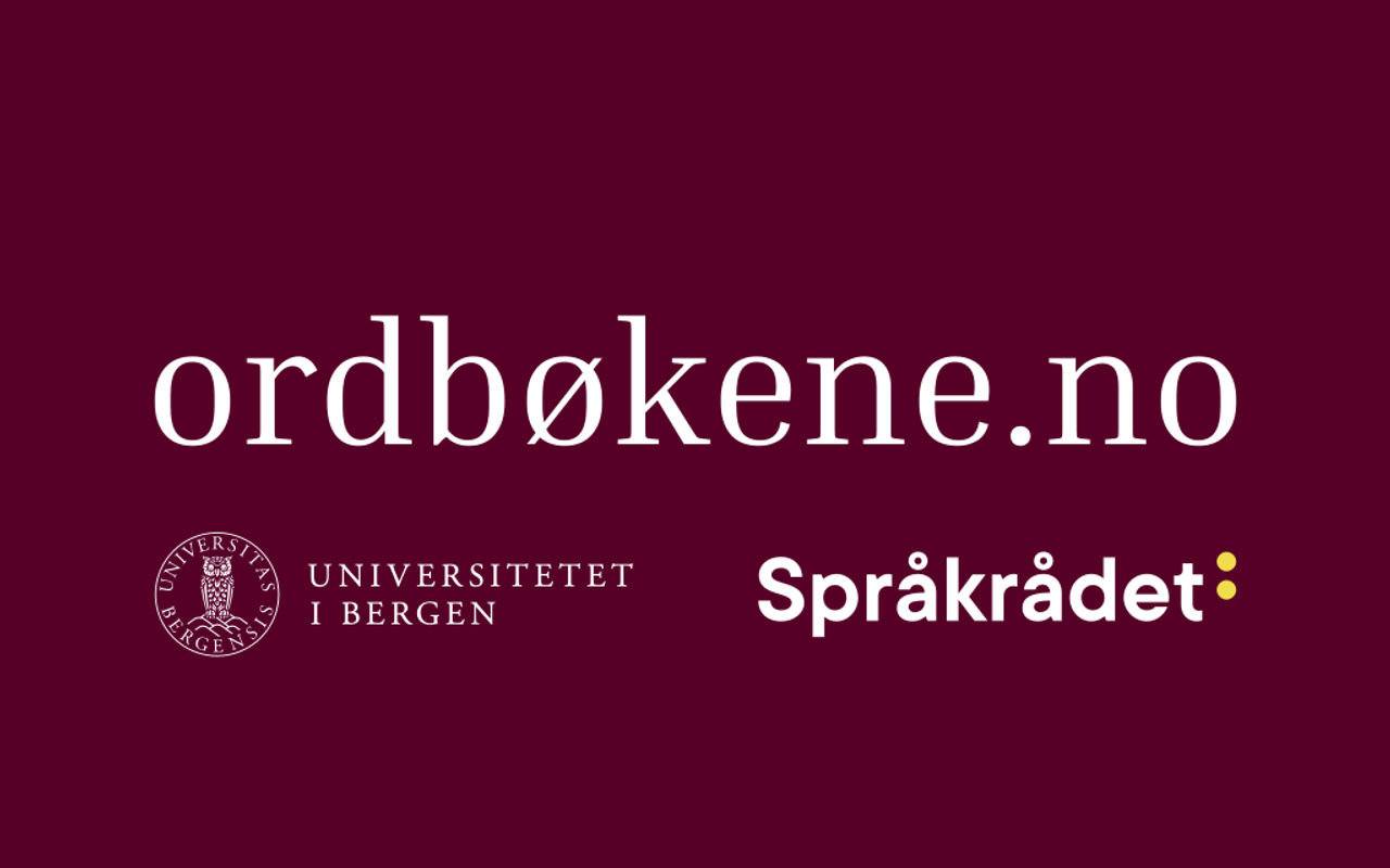 Homepage screenshot of ordbokene.no
