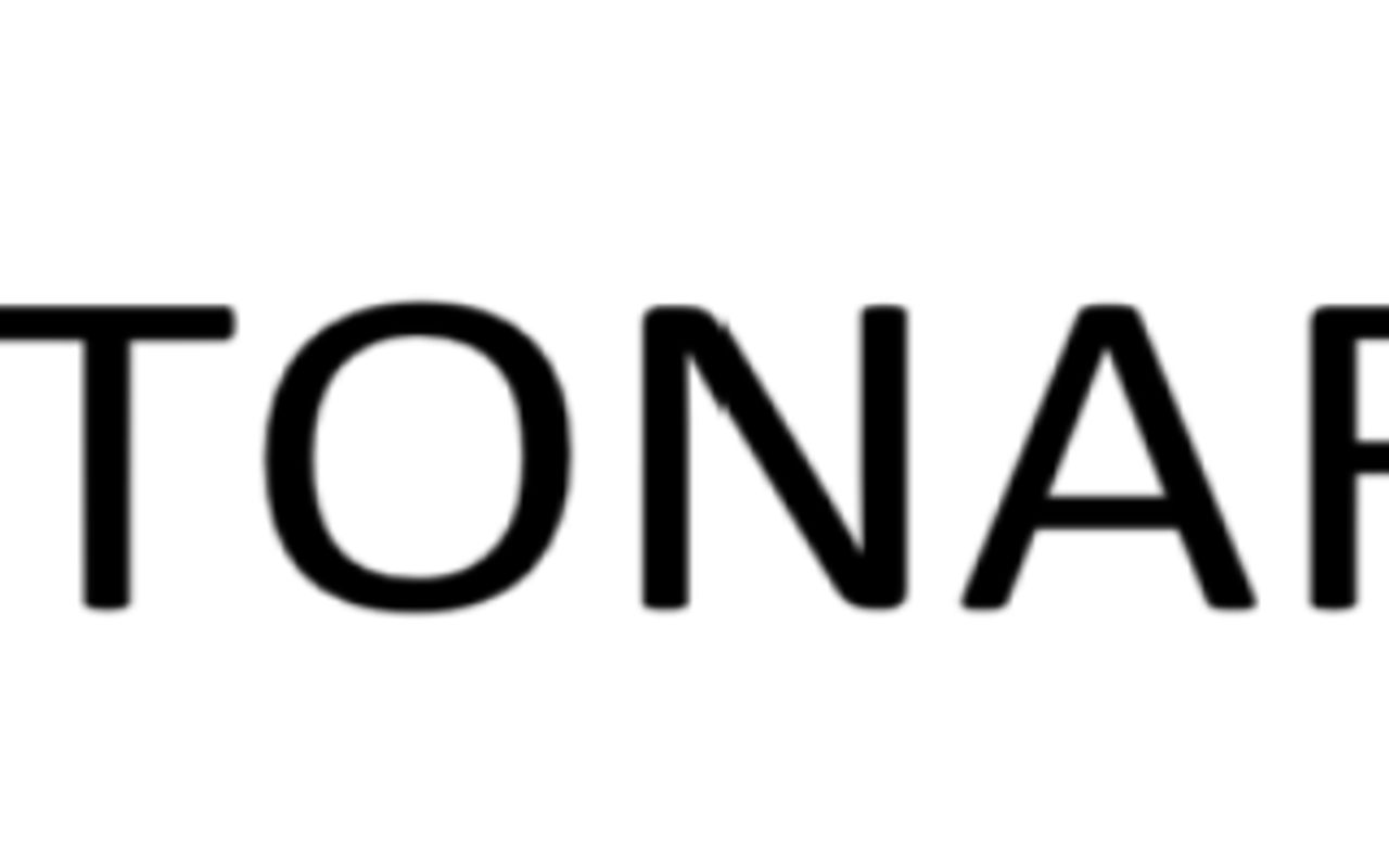 Homepage screenshot of otonaristore.com