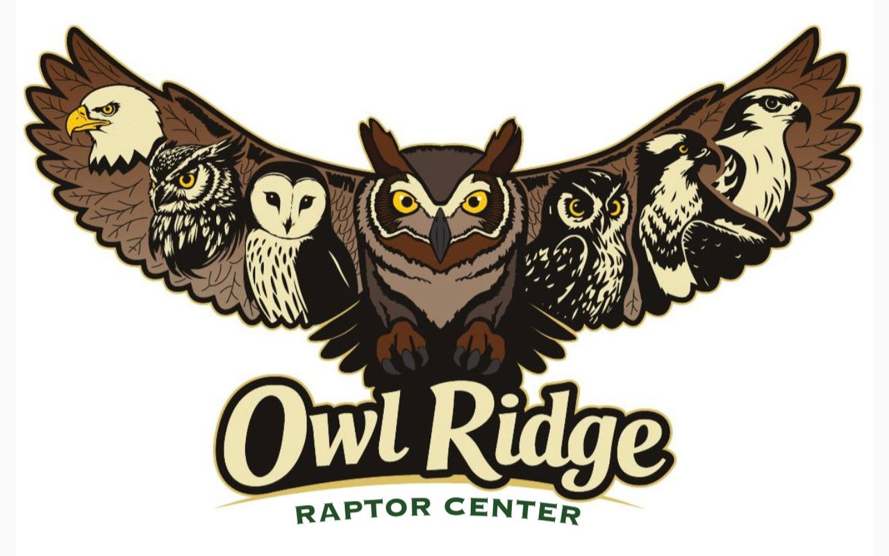 Homepage screenshot of owlridge.org