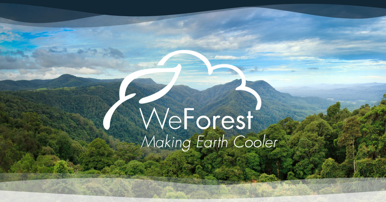 Homepage screenshot of partners.weforest.org