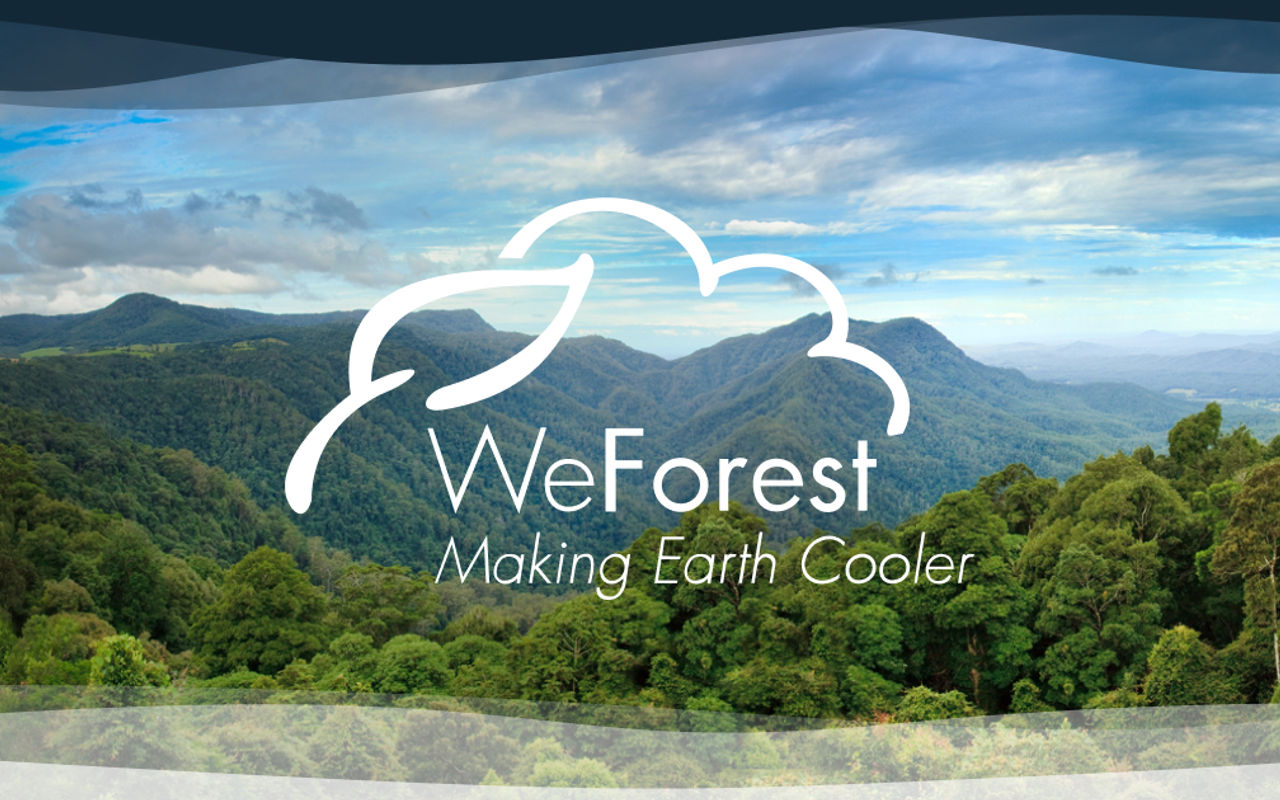 Homepage screenshot of partners.weforest.org