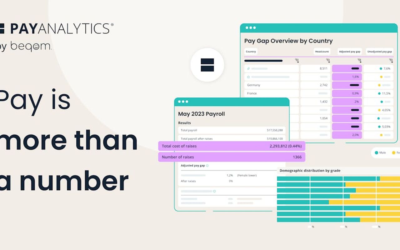 Homepage screenshot of payanalytics.com