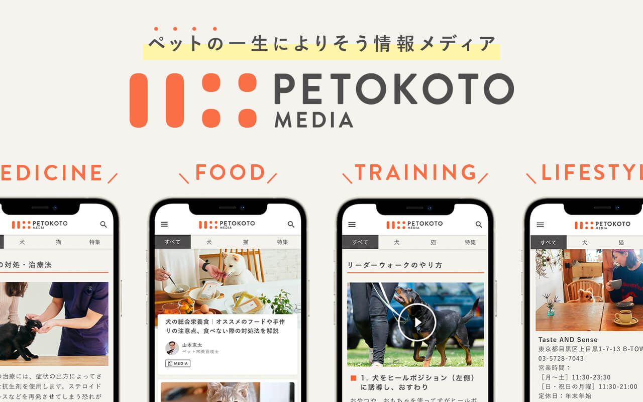 Homepage screenshot of petokoto.com