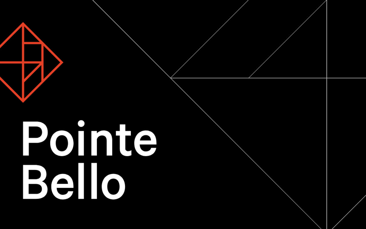 Homepage screenshot of pointebello.com