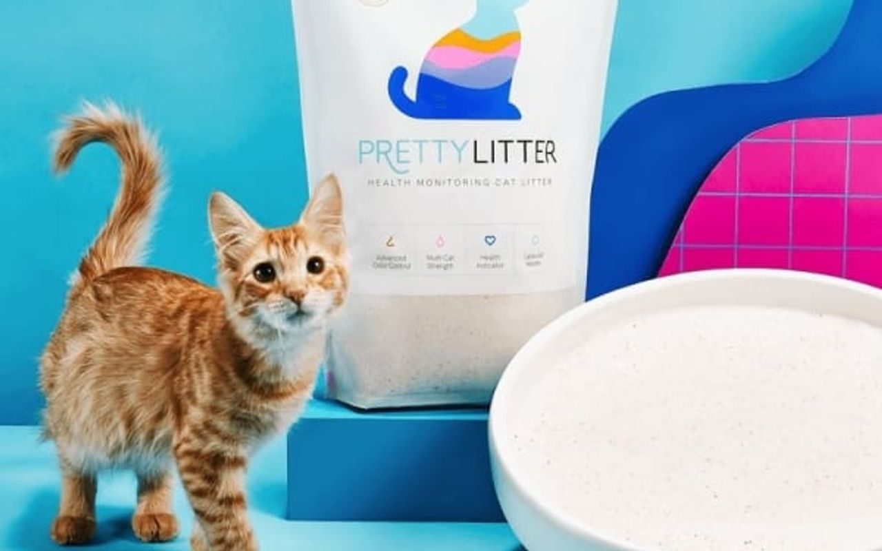 Homepage screenshot of prettylitter.com
