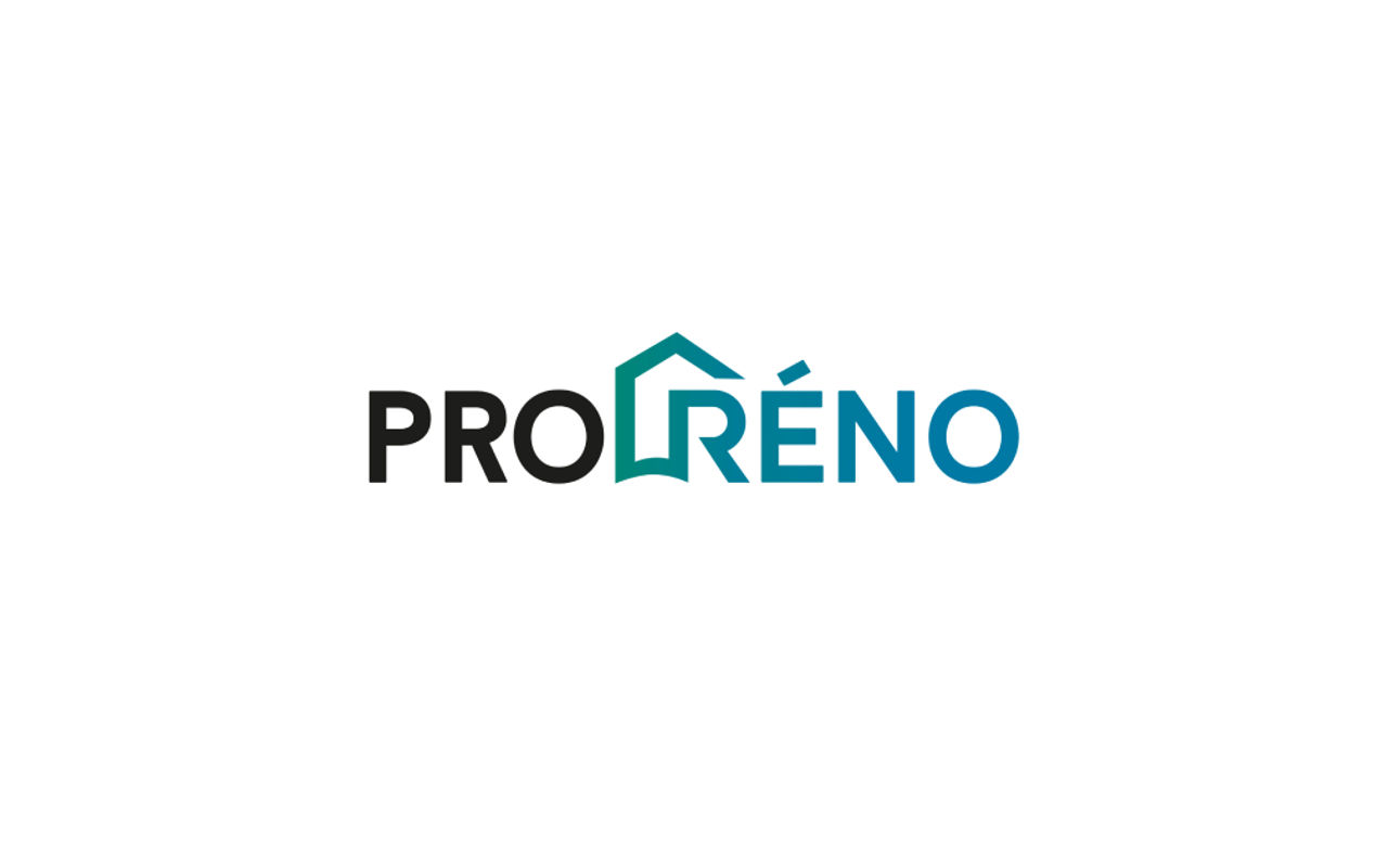 Homepage screenshot of proreno.fr