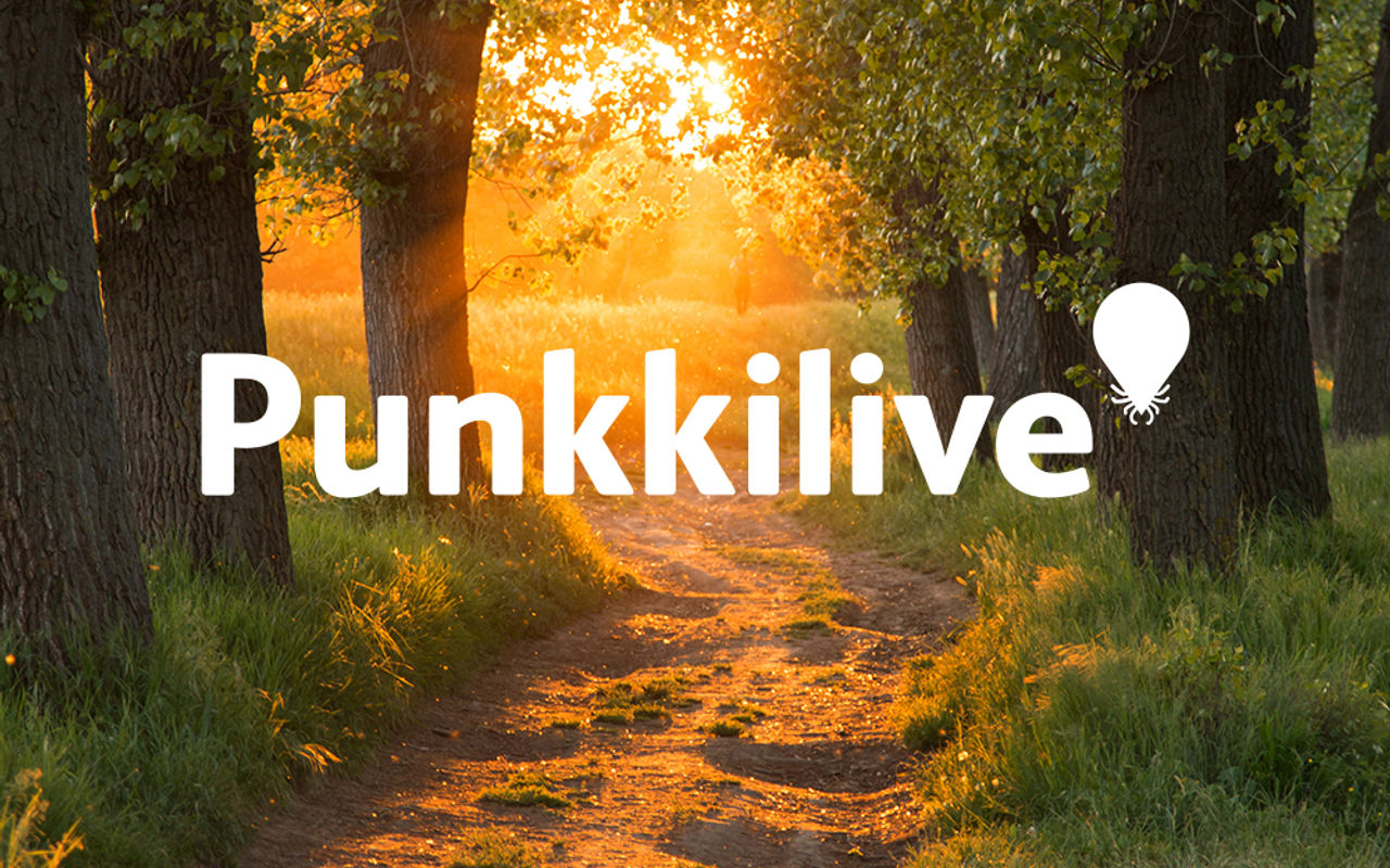 Homepage screenshot of punkkilive.fi