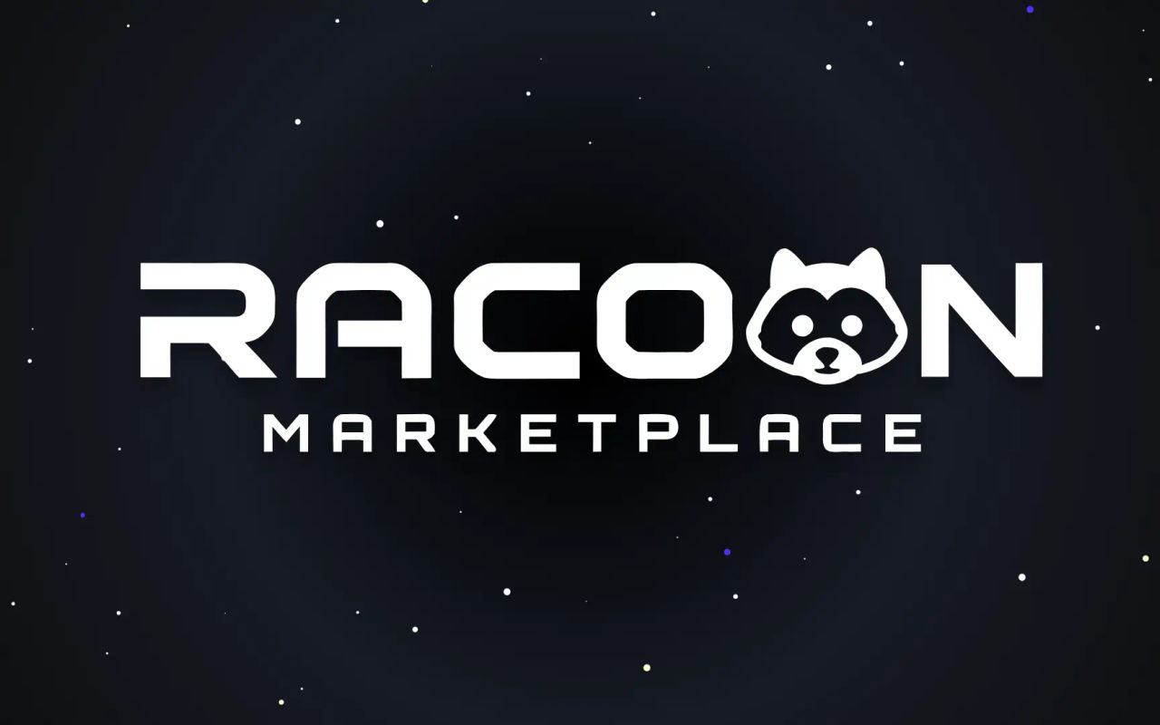 Homepage screenshot of racoon.gg