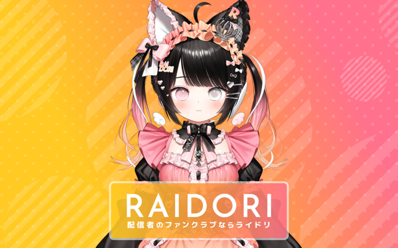 Homepage screenshot of raidori.com