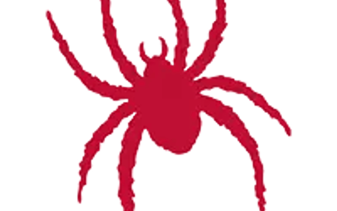 Homepage screenshot of richmondspiders.com