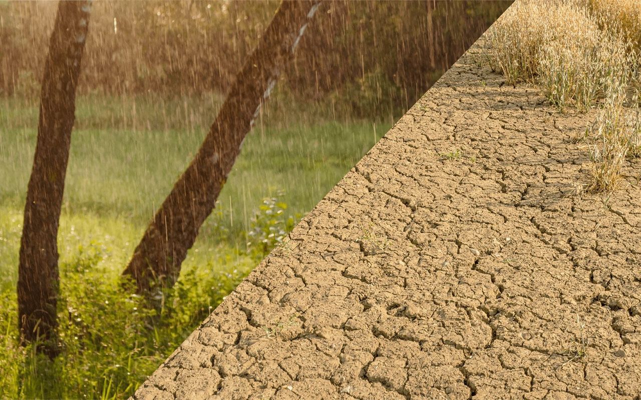 Homepage screenshot of seswater.co.uk