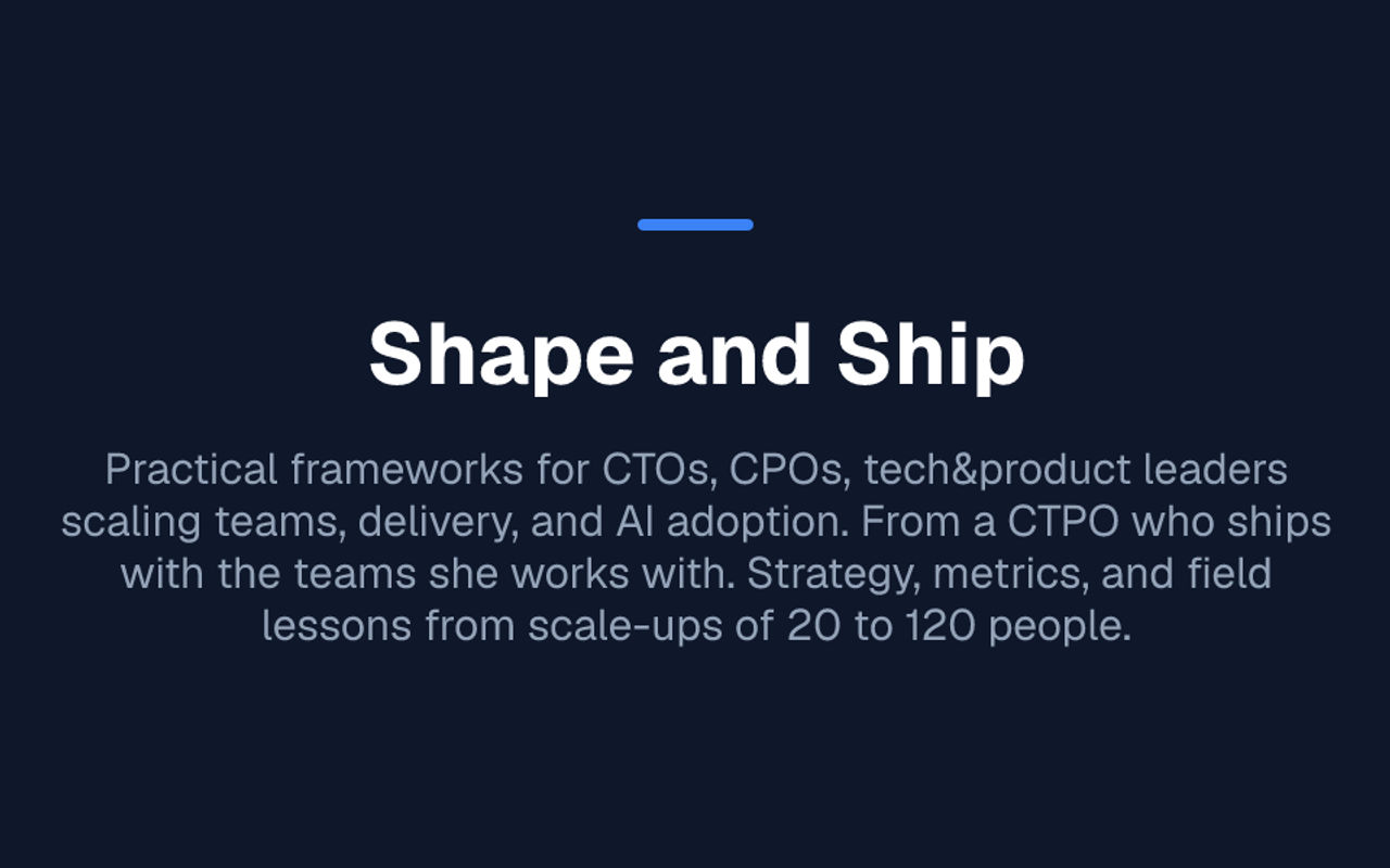 Homepage screenshot of shapeandship.ai