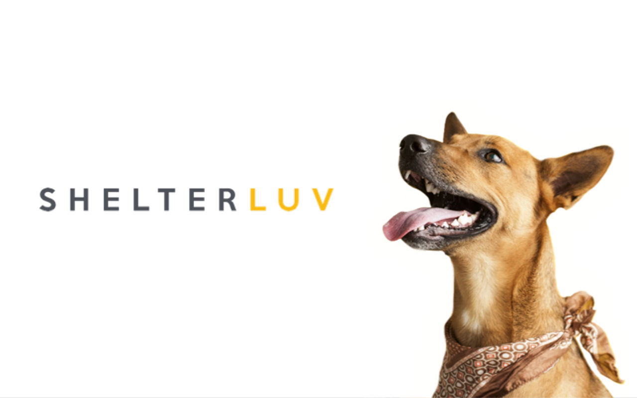 Homepage screenshot of shelterluv.com