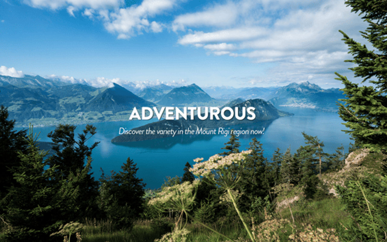 Homepage screenshot of shop.rigi.ch