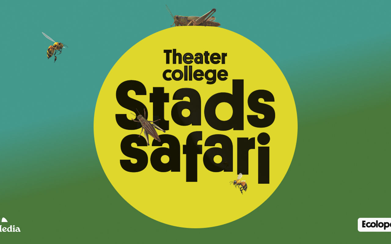 Homepage screenshot of stadssafaritheater.nl