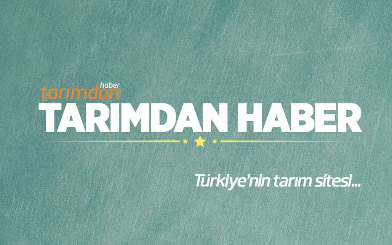 Homepage screenshot of tarimdanhaber.com
