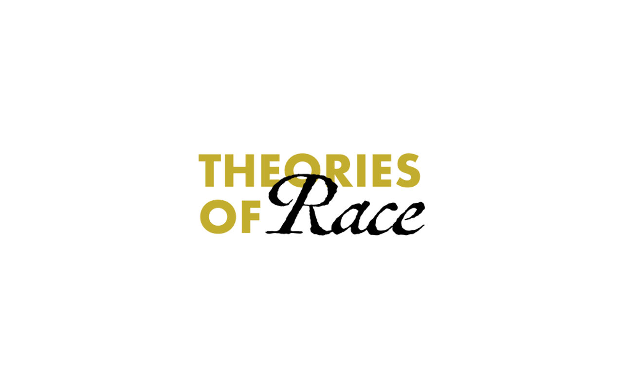 Homepage screenshot of theoriesofrace.com