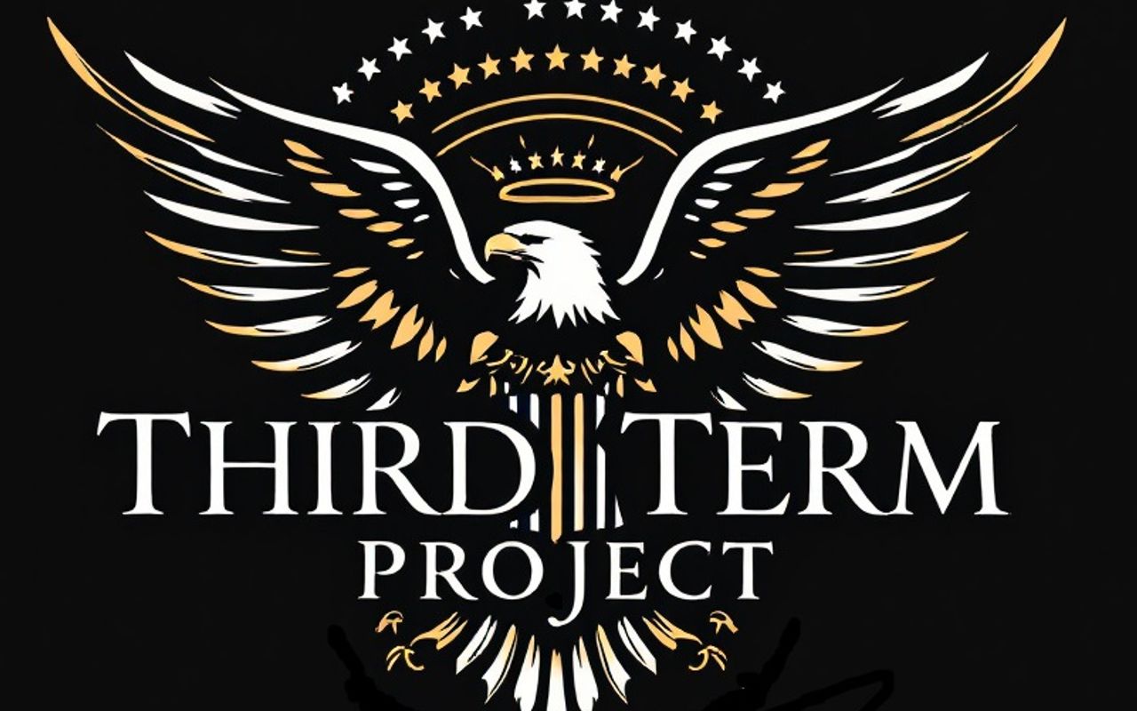 Homepage screenshot of thirdtermproject.com