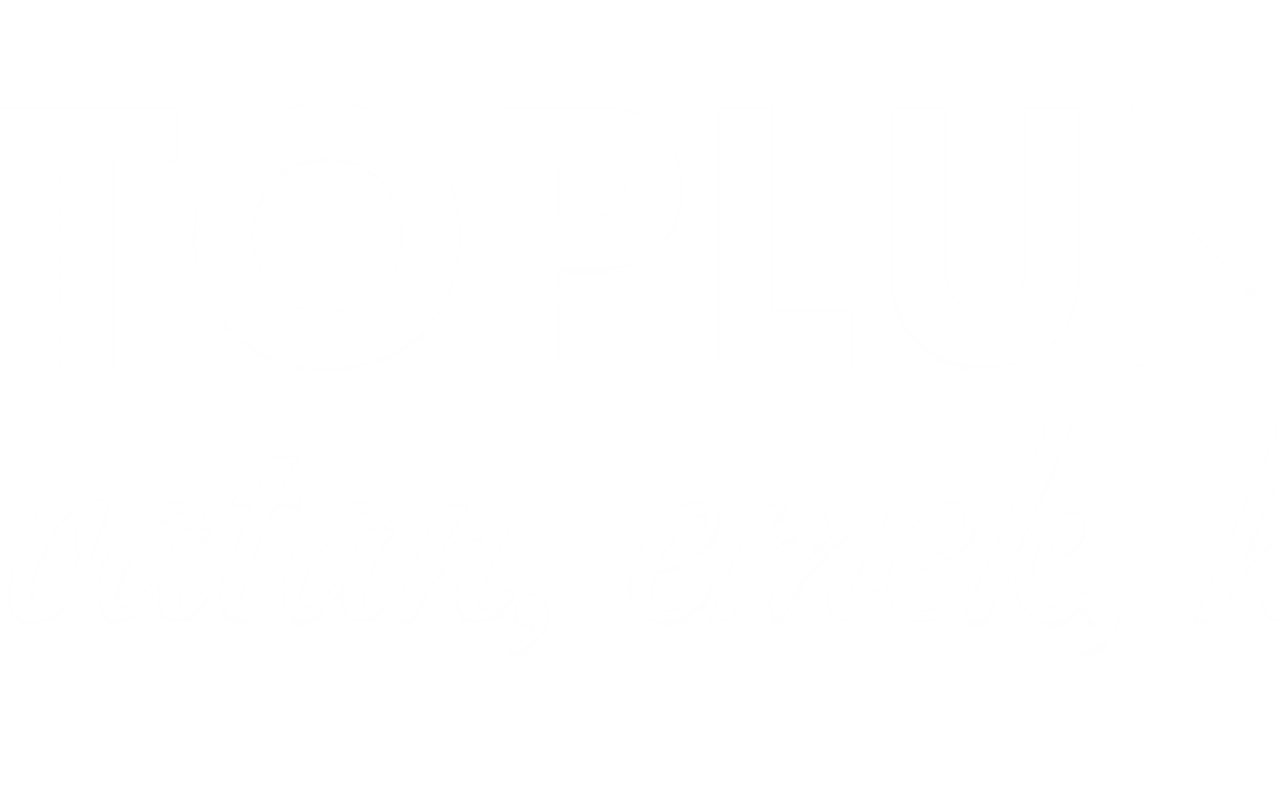 Homepage screenshot of toplumsal.com.tr