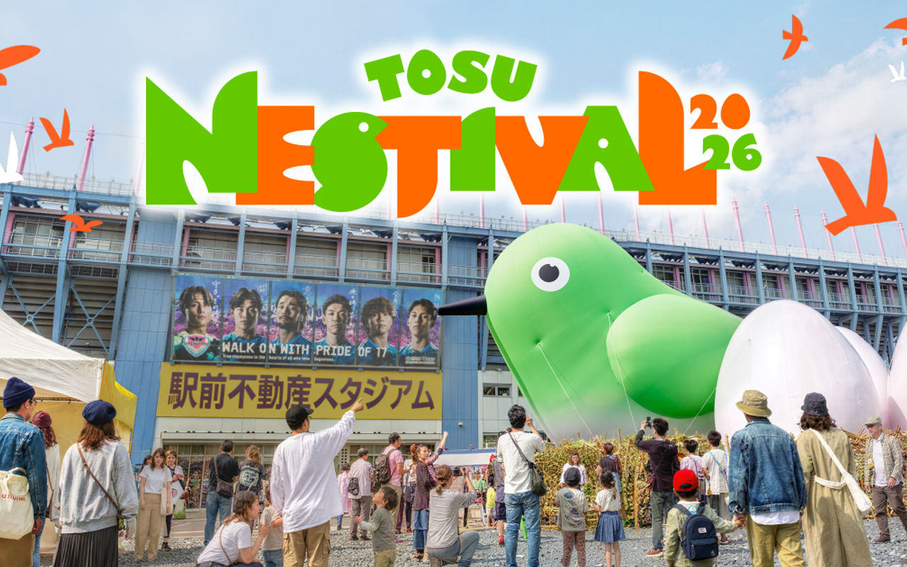 Homepage screenshot of tosu-nestival.com