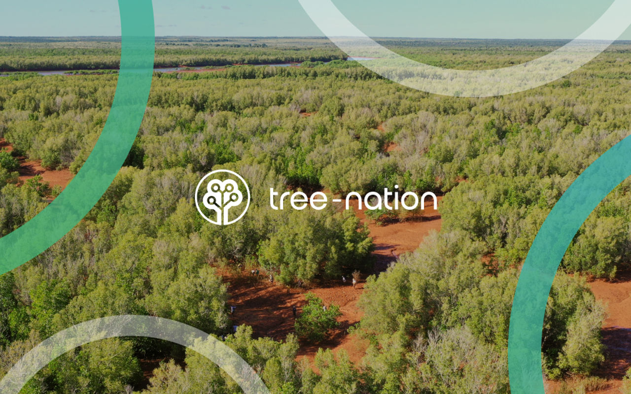 Homepage screenshot of tree-nation.com