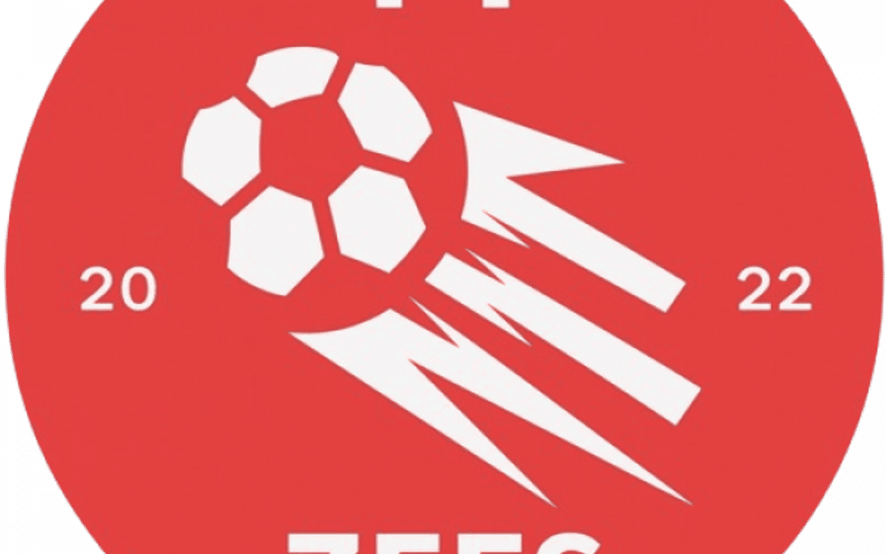 Homepage screenshot of tyzefs.bzh