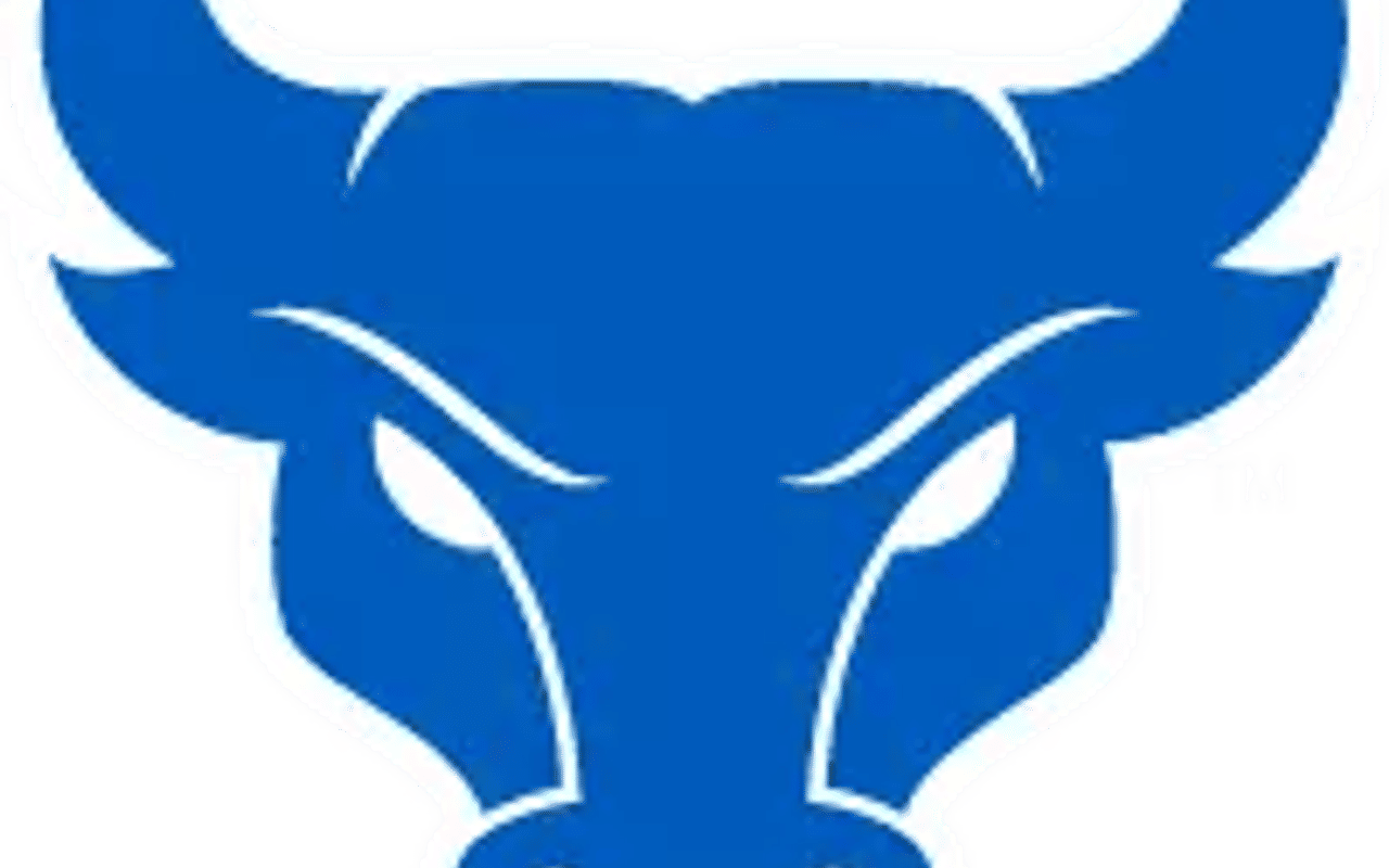 Homepage screenshot of ubbulls.com