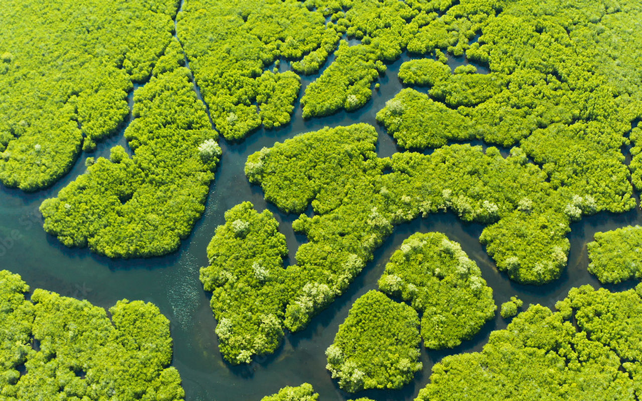 Homepage screenshot of unep-wcmc.org