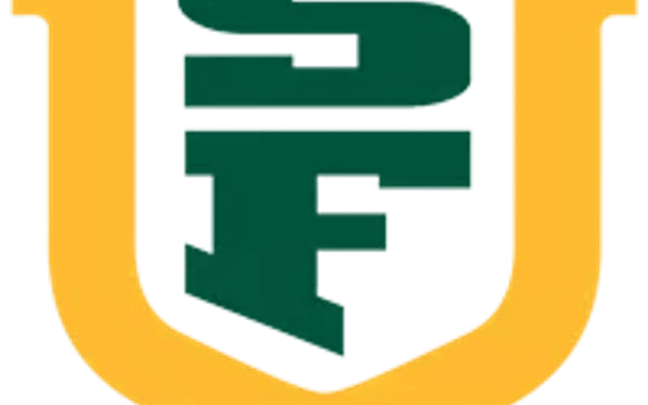 Homepage screenshot of usfdons.com