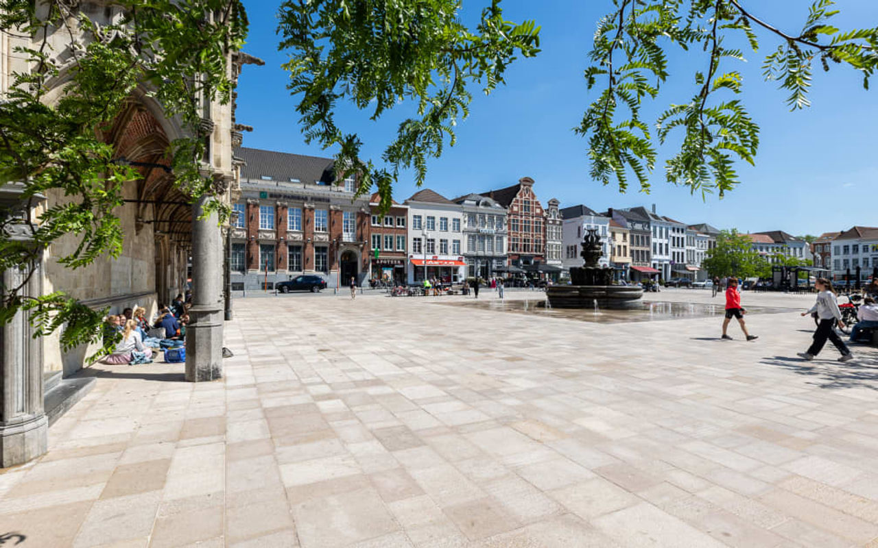 Homepage screenshot of vlaanderen.be