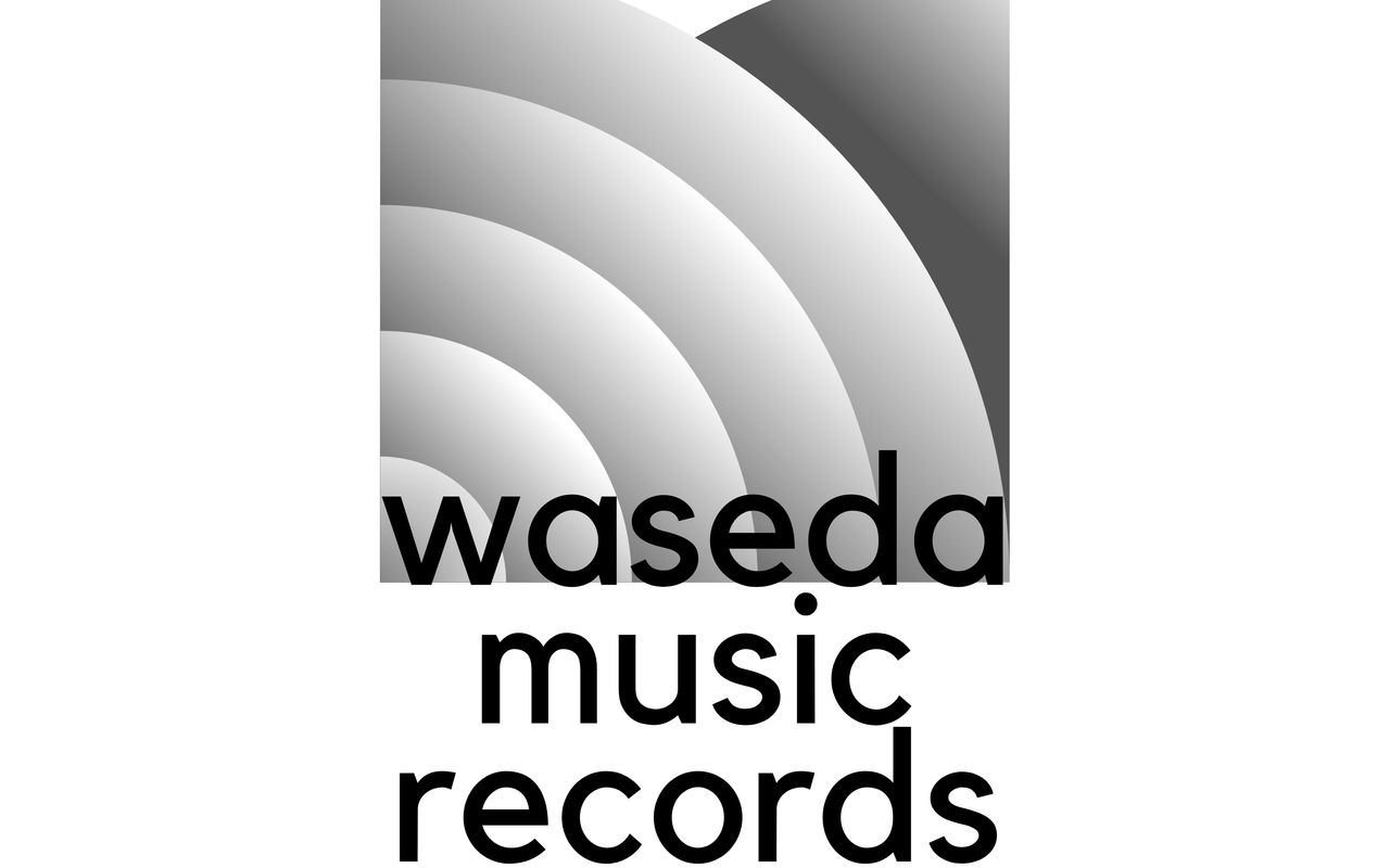 Homepage screenshot of wasedamusicrecords.studio.site