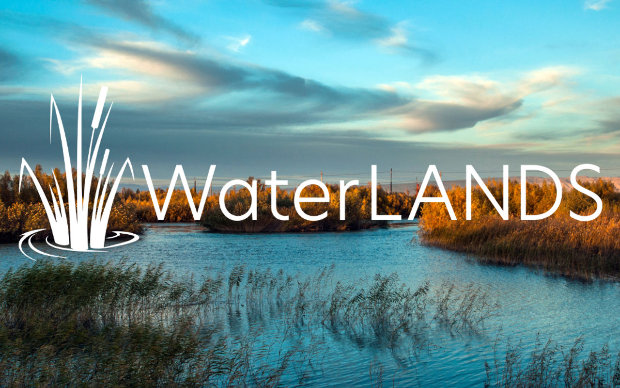 Homepage screenshot of waterlands.eu