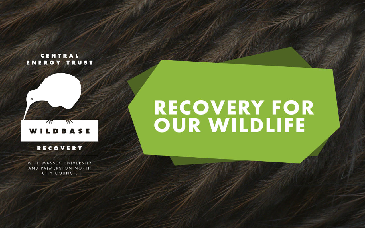 Homepage screenshot of wildbaserecovery.co.nz