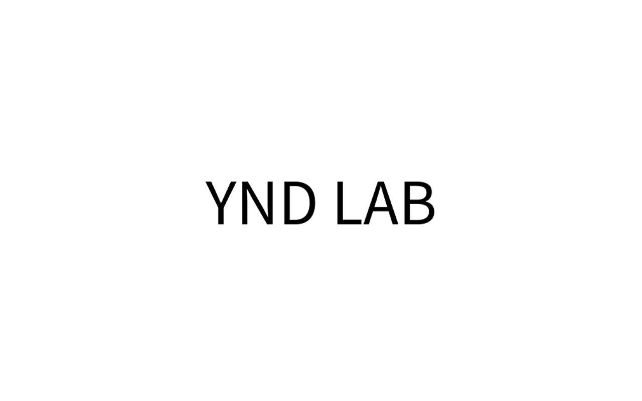 Homepage screenshot of ynd-lab.com
